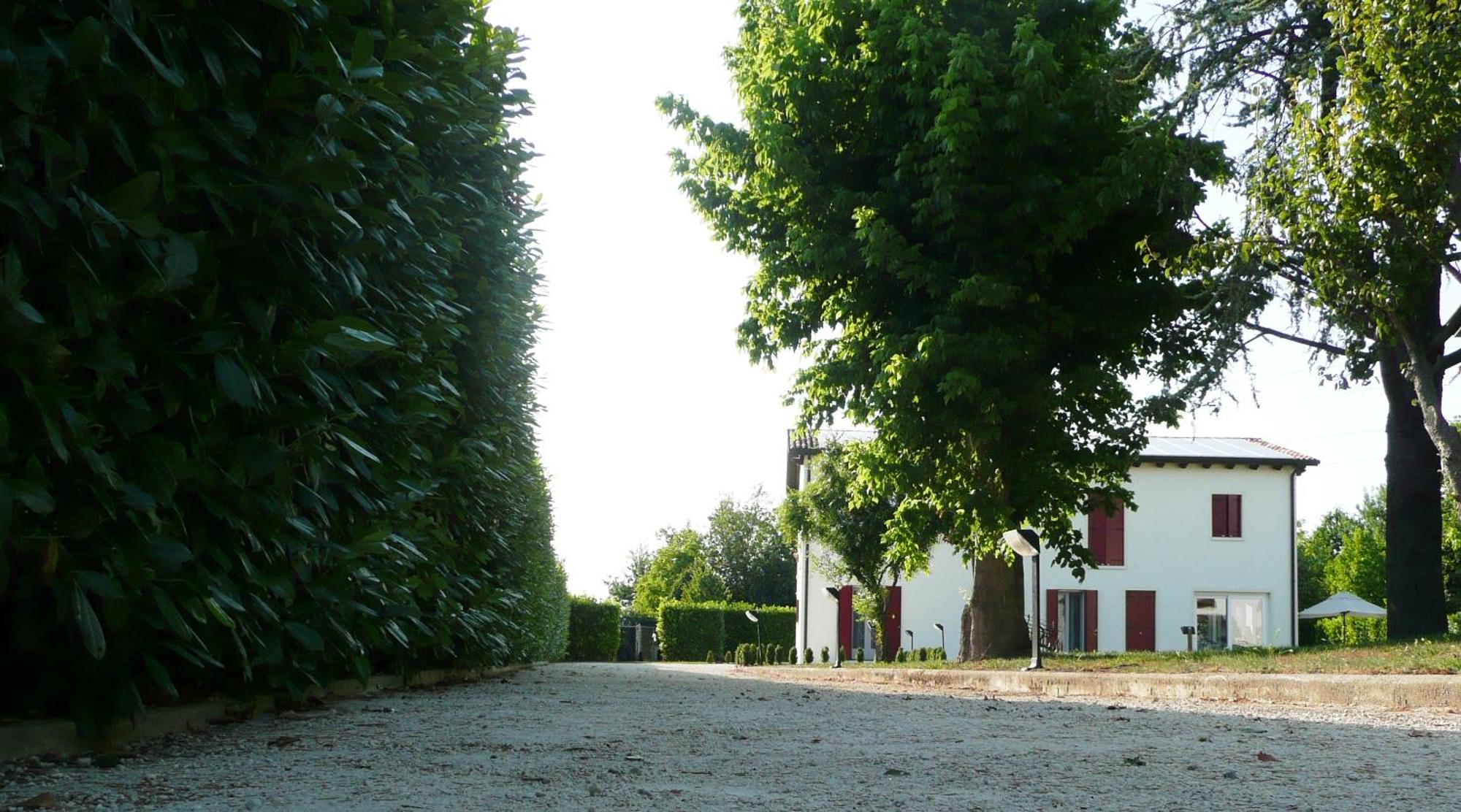 Agriturismo Campoverde Camponogara Екстериор снимка